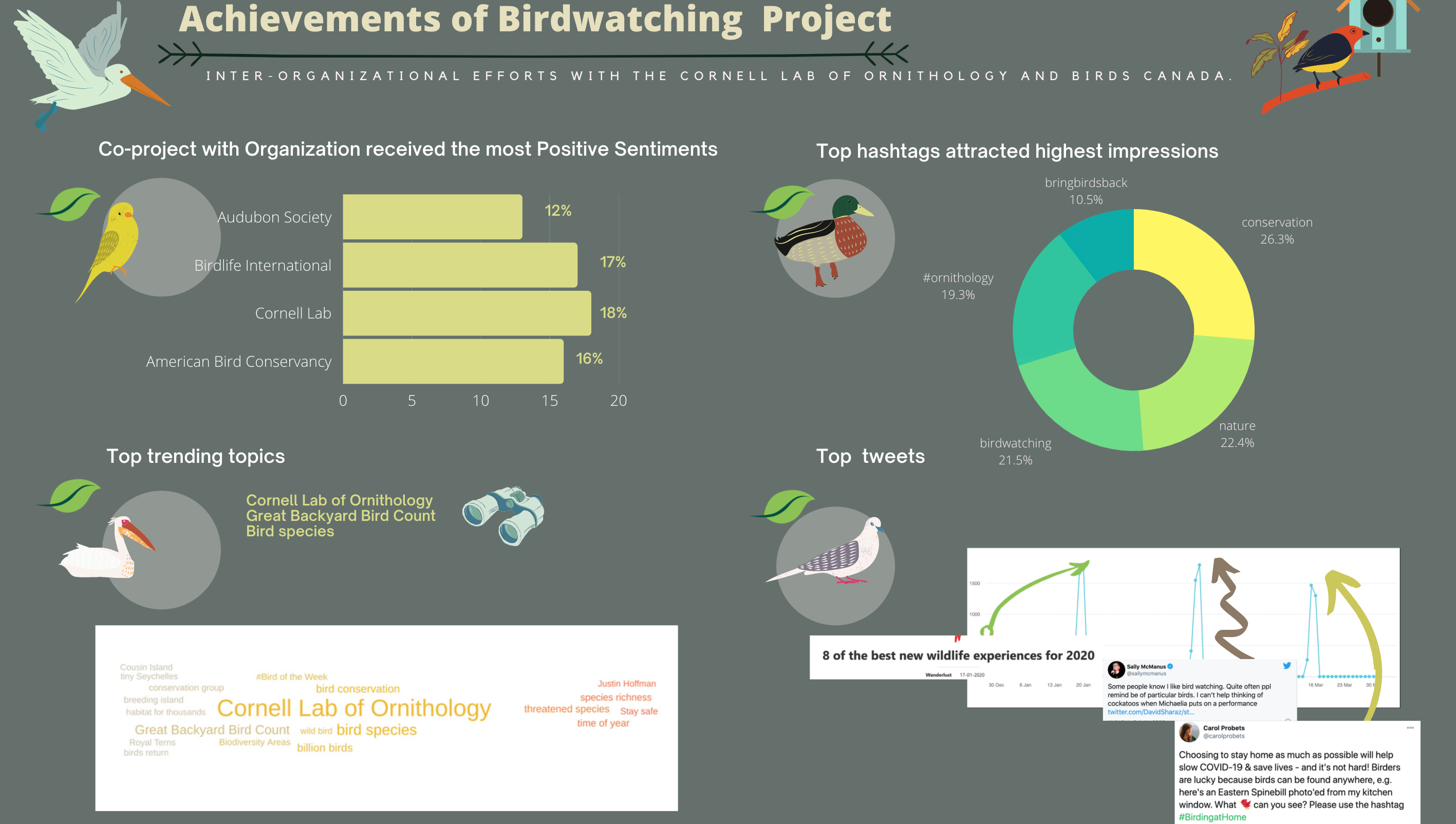 Great Backyard Bird Count Successfully Driven by National Audubon Society